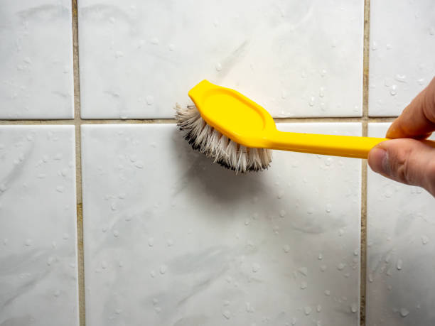 Best Residential Mold Removal  in Carlstadt, NJ