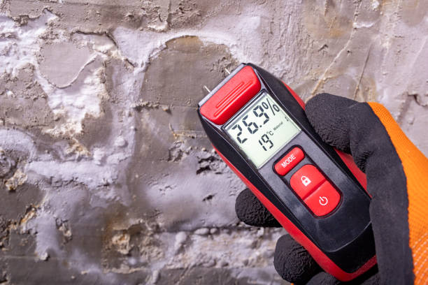 Best Office Mold Removal Services  in Carlstadt, NJ