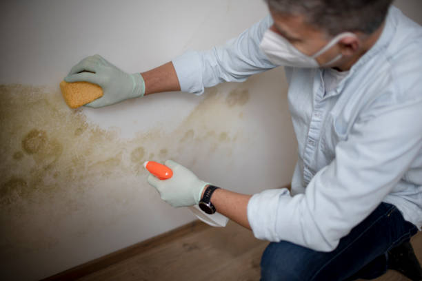 Water Damage Restoration in Carlstadt, NJ