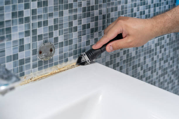 Best Mold Removal Near Me  in Carlstadt, NJ