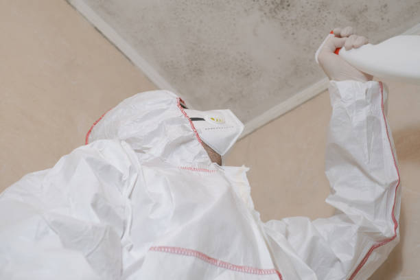 Best Commercial Mold Removal  in Carlstadt, NJ